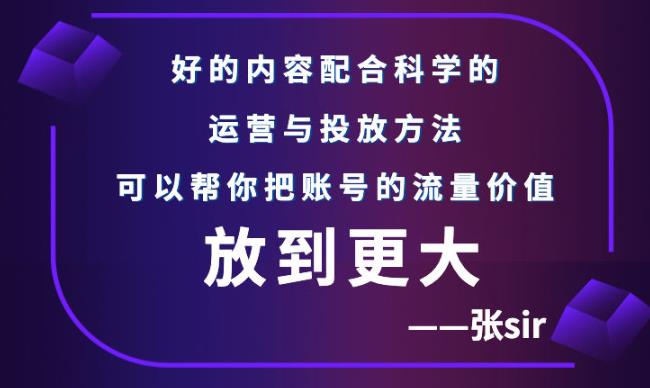 【副业项目3305期】（怎么投dou+快速涨粉）张sir账号流量增长课，让你的流量更精准-千知鹤副业网