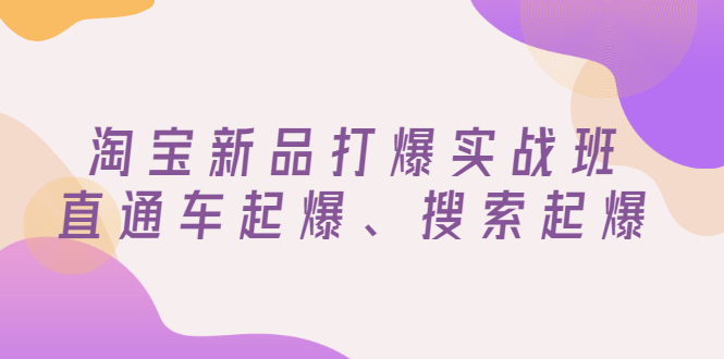 【副业项目3372期】淘宝新品打爆实战班（淘宝店铺如何增加流量和访客）-千知鹤副业网