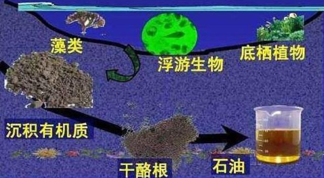 沙特到底多有钱插图14