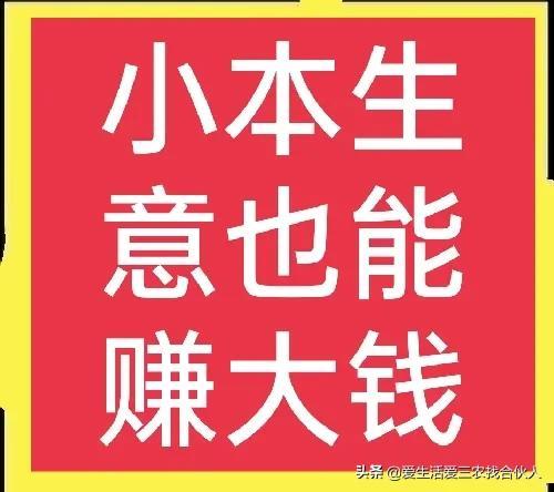 2022年投资小利润高的小生意，失业后做什么小本生意好-千知鹤副业网