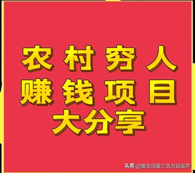 穷人怎么赚钱最快（适合农村穷人创业的项目）-千知鹤副业网