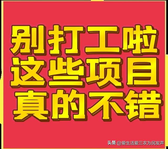 比打工强的小生意，农村小项目有哪些-千知鹤副业网