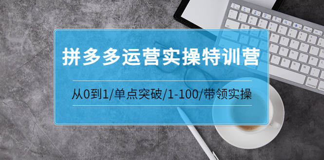 【副业项目3863期】拼多多运营实操特训营：拼多多直通车进阶优化技巧，拼多多如何操作利润最大化-千知鹤副业网