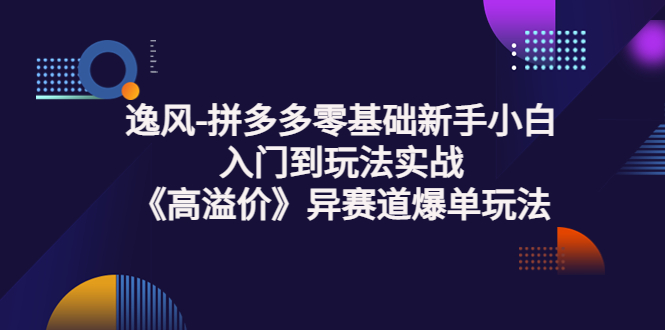 【副业项目3877期】逸风-拼多多新手小白入门到玩法实战，异赛道爆单玩法实操课-千知鹤副业网