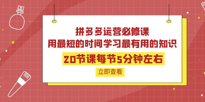 【副业项目4189期】拼多多运营必修课：20节课每节5分钟左右，用最短的时间学习最有用的知识-千知鹤副业网