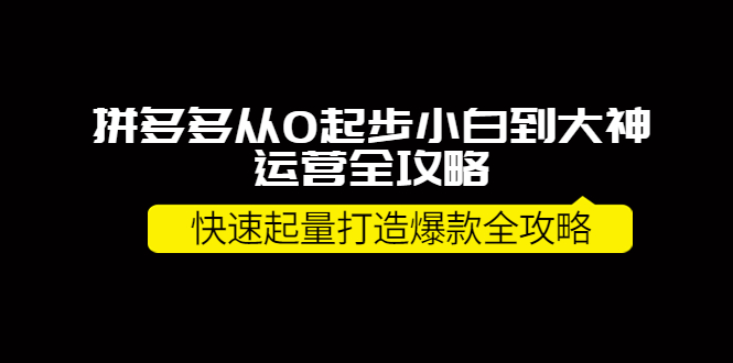 【副业项目4227期】拼多多从0起步小白到大神运营全攻略，快速起量打造10W+爆款全攻略-千知鹤副业网