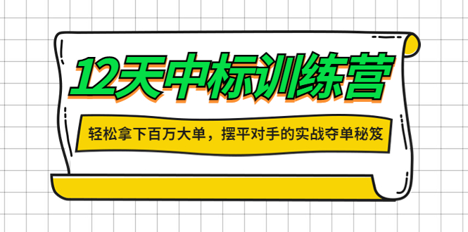 【副业项目4416期】12天中标训练营：轻松拿下百万大单，摆平对手的实战夺单秘笈-千知鹤副业网