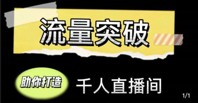 【副业项目4460期】直播运营实战视频课，助你打造千人直播间（14节视频课）-千知鹤副业网