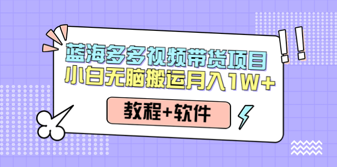 【副业项目4612期】人人都能操作的蓝海多多视频带货项目 小白无脑搬运月入10000+（教程+软件）-千知鹤副业网