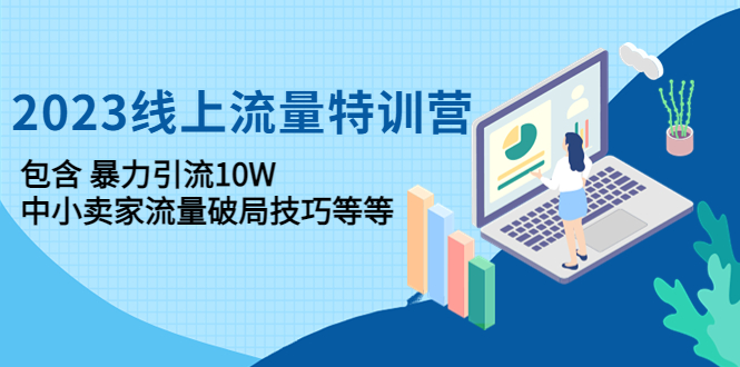 【副业项目4809期】2023线上流量特训营：包含暴力引流10W+中小卖家流量破局技巧等等-千知鹤副业网