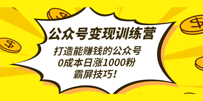 【副业项目4828期】公众号变现训练营（第3期）打造能赚钱的公众号，0成本日涨1000粉，霸屏技巧-千知鹤副业网