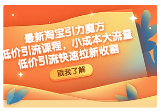 【副业项目4943期】最新淘宝引力魔方低价引流实操：小成本大流量，低价引流快速拉新收割-千知鹤副业网