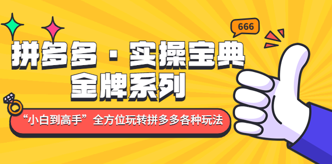 【副业项目5130期】拼多多·实操宝典：金牌系列“小白到高手”带你全方位玩转拼多多各种玩法-千知鹤副业网