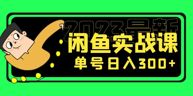 【副业项目5277期】花599买的闲鱼项目：2023最新闲鱼实战课，单号日入300+（7节课）-千知鹤副业网