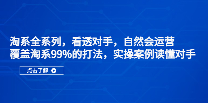 【副业项目5366期】淘系全系列，看透对手，自然会运营，覆盖淘系99%·打法，实操案例读懂对手-千知鹤副业网