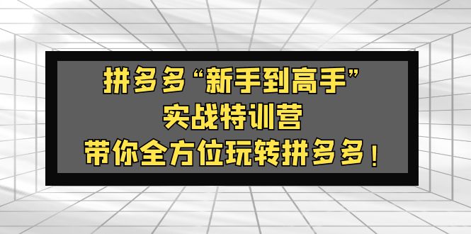 【副业项目5317期】拼多多“新手到高手”实战特训营：带你全方位玩转拼多多-千知鹤副业网