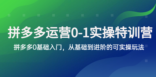 【副业项目5801期】拼多多-运营0-1实操训练营，拼多多0基础入门，从基础到进阶的可实操玩法-千知鹤副业网