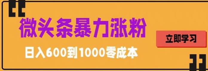 【副业项目5970期】微头条暴力涨粉技巧搬运文案就能涨几万粉丝，简单0成本，日赚600-千知鹤副业网