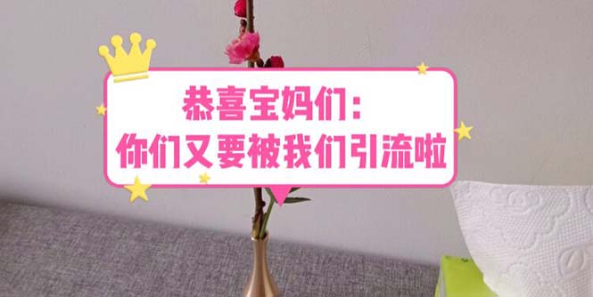 【副业项目5918期】恭喜宝妈们：你们又要被我们引流了（教程+222g资料）-千知鹤副业网