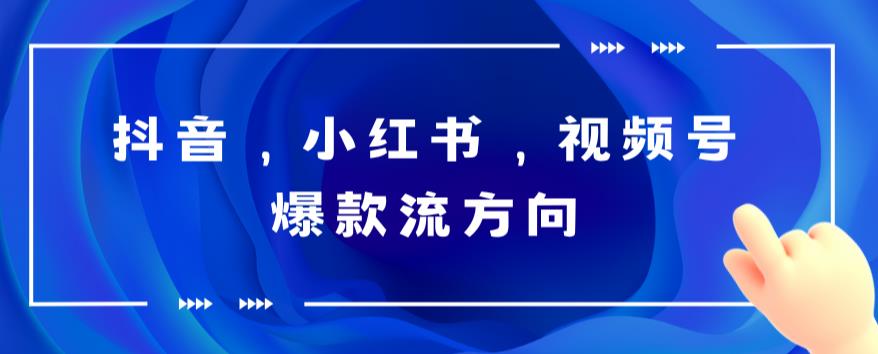 【副业项目6104期】抖音，小红书，视频号爆款流视频制作，简单制作掌握流量密码-千知鹤副业网