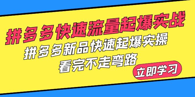 【副业项目6310期】拼多多-快速流量起爆实战，拼多多新品快速起爆实操，看完不走弯路-千知鹤副业网