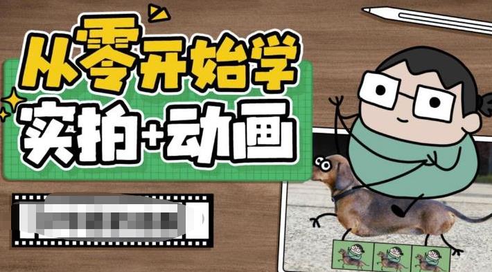 【副业项目6738期】从零开始学实拍加动画，实拍加动画创意教程（49节视频课）-千知鹤副业网