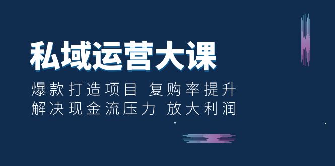 【副业项目6574期】私域运营大课：爆款打造项目 复购率提升 解决现金流压力 放大利润-千知鹤副业网