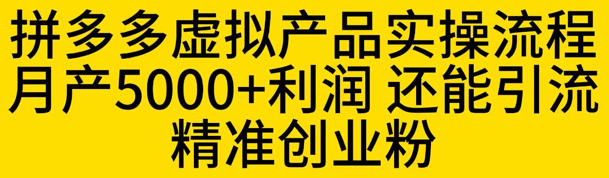 【副业项目6569期】拼多多虚拟产品实操流程，月产5000+利润，还能引流精准创业粉-千知鹤副业网