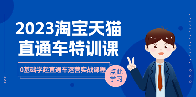 【副业项目6489期】2023淘宝·天猫直通车评特训课，0基础学起直通车运营实战课程（8节课时）-千知鹤副业网