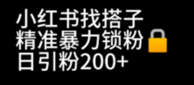 【副业项目7040期】小红书找搭子暴力精准锁粉+引流日引200+精准粉-千知鹤副业网