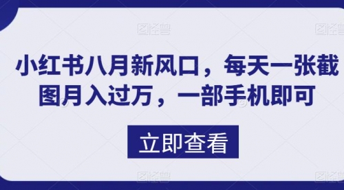 【副业项目7078期】八月新风口，小红书虚拟项目一天收入1000+-千知鹤副业网