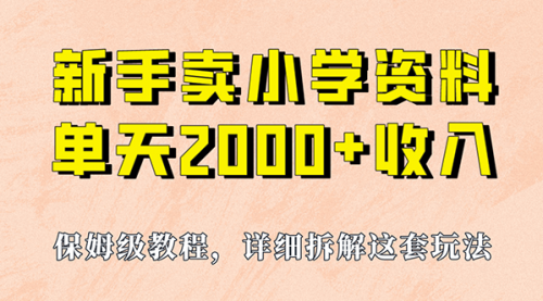 【副业项目7100期】卖小学资料，实现单天2000+，实操项目，保姆级教程+资料+工具-千知鹤副业网