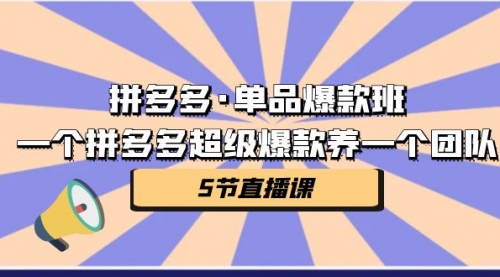 【副业项目第7171期】拼多多·单品爆款班，一个拼多多超级爆款养一个团队-千知鹤副业网