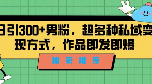 【副业项目7191期】独家推荐！日引300+男粉，超多种私域变现方式-千知鹤副业网