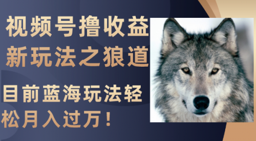 【副业项目8271期】视频号撸收益新玩法之狼道，目前蓝海玩法轻松月入过万！-千知鹤副业网