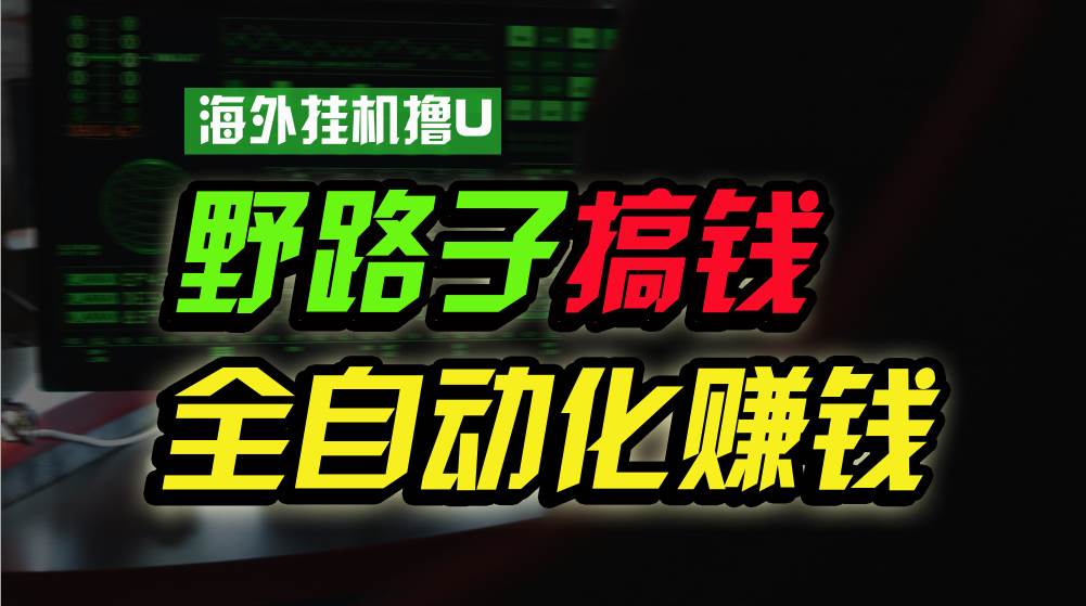 海外挂机撸U新平台，日赚8-15美元，全程无人值守，可批量放大，工作室内…-千知鹤副业网