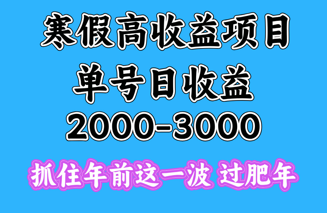 寒假期间一天收益2000-3000+，抓住年前这一波-千知鹤副业网