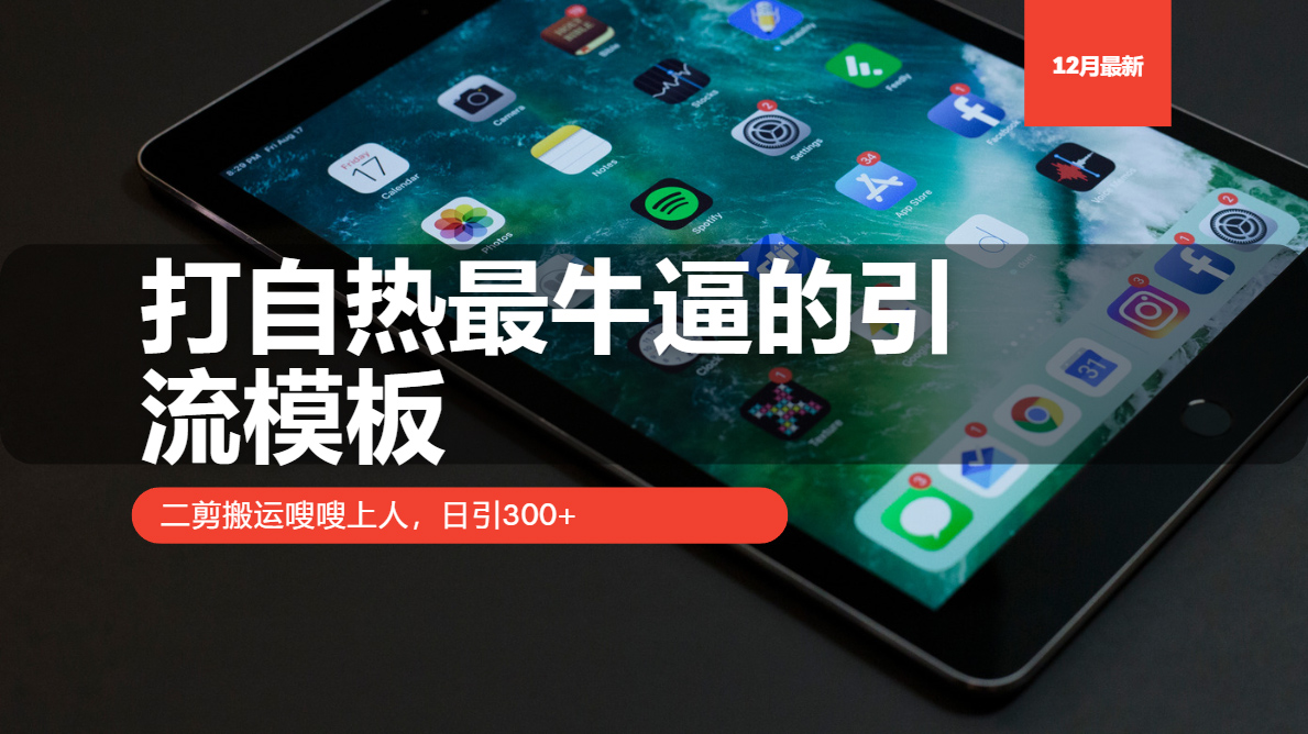 打自热最牛逼的引流模板，日引300+，二剪搬运嗖嗖上人-千知鹤副业网